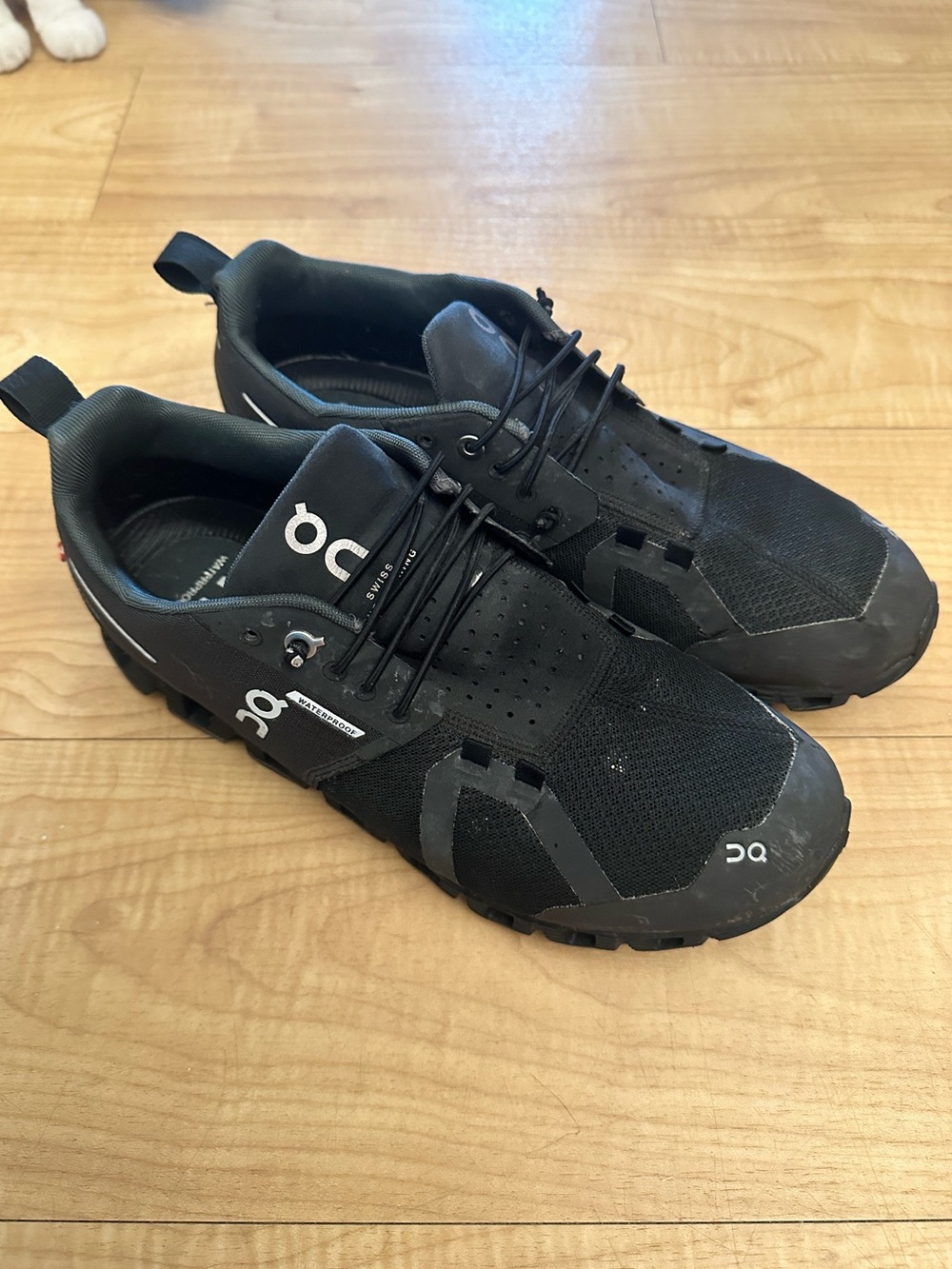 On Cloud Running waterproof